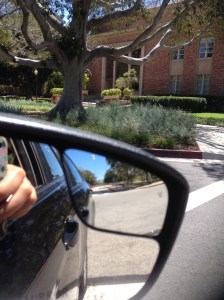 A quick whizz around UCLA. 