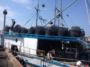 Fishing boat at pier 47. This is where you see the real work. It's not as touristy as pier 39.