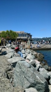 sculptures at Sausalito.